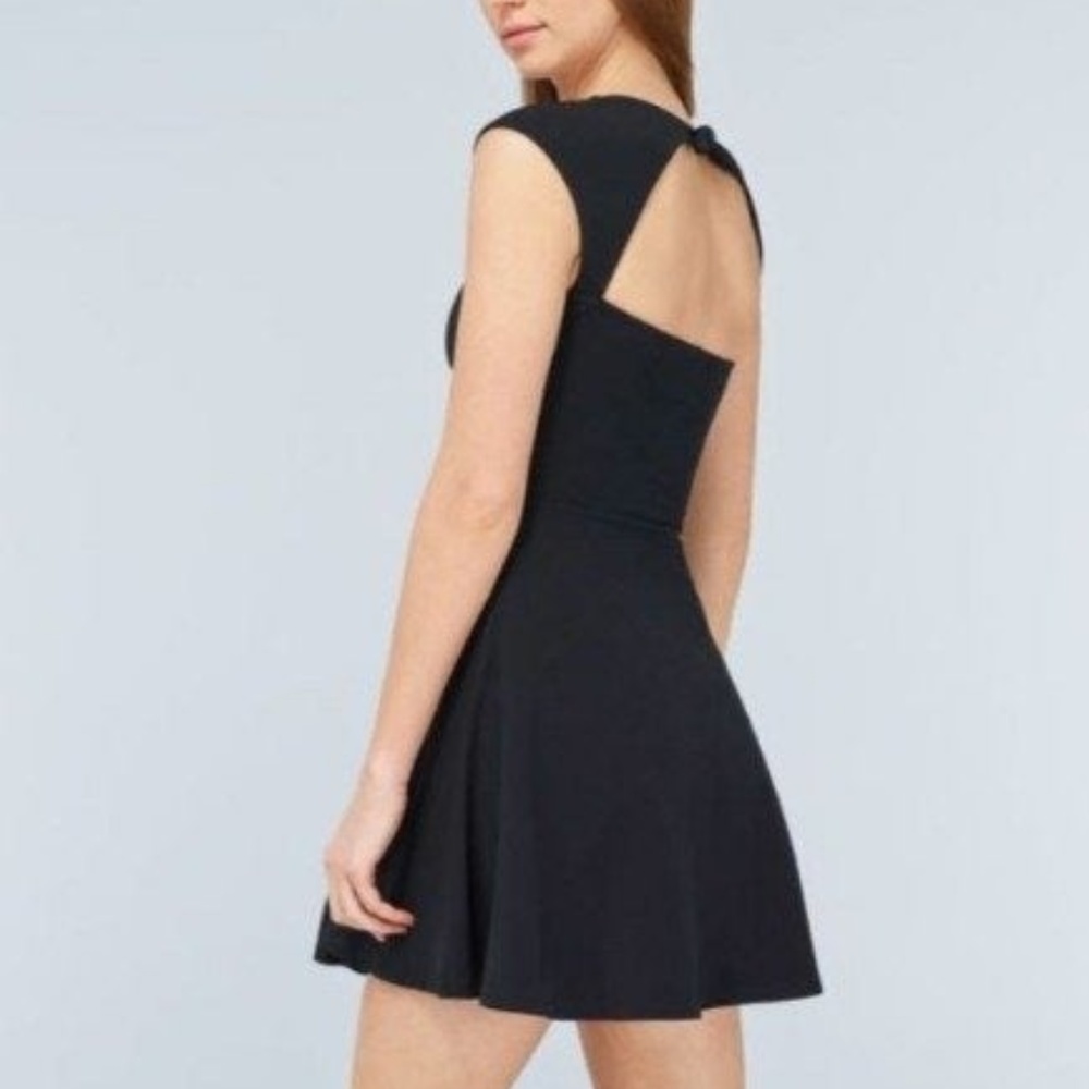 Aritzia Talula Palmetto Fit Flare Dress